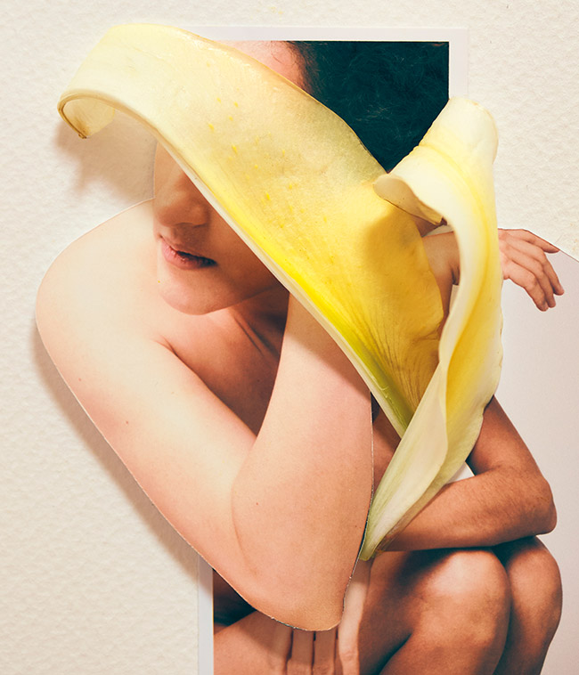 Collage de retratos con flores